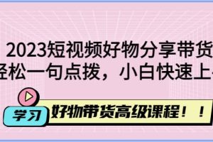 2023短视频好物分享带货，好物带货高级课程，轻松一句点拨，小白快速上手