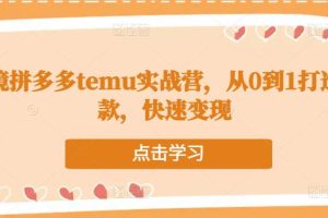 跨境拼多多temu实战营，从0到1打造爆款，快速变现