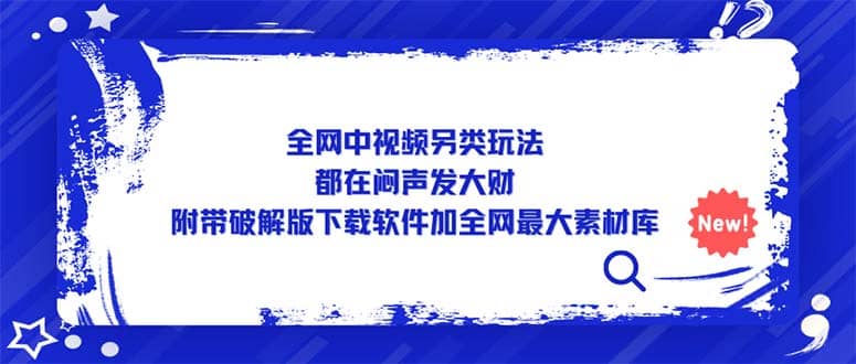 全网中视频另类玩法，都在闷声发大财，附带下载软件加全网最大素材库插图