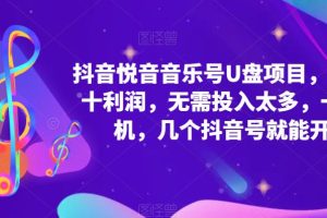 抖音音乐号U盘项目 一单几十利润 无需投入太多 一台手机 几个抖音号就开始