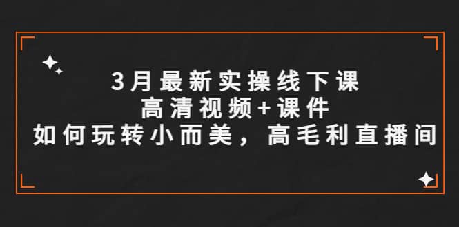 3月最新实操线下课高清视频 课件，如何玩转小而美，高毛利直播间插图