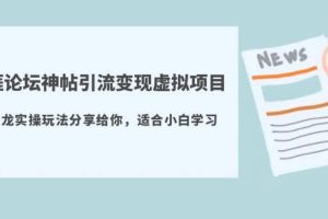 天涯论坛神帖引流变现虚拟项目，一条龙实操玩法分享给你（教程 资源）