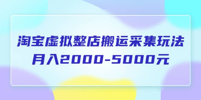 淘宝虚拟整店搬运采集玩法分享课：月入2000-5000元（5节课）插图