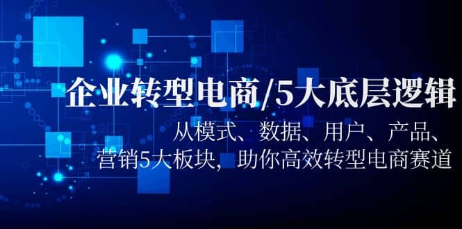 企业转型电商/5大底层逻辑，从模式 数据 用户 产品 营销5大板块，高效转型插图