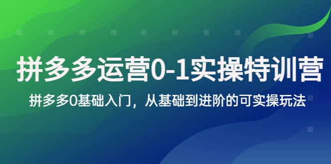 拼多多-运营0-1实操训练营，拼多多0基础入门，从基础到进阶的可实操玩法插图