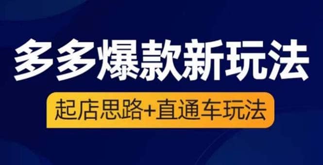 2023拼多多爆款·新玩法：起店思路 直通车玩法（3节精华课）插图