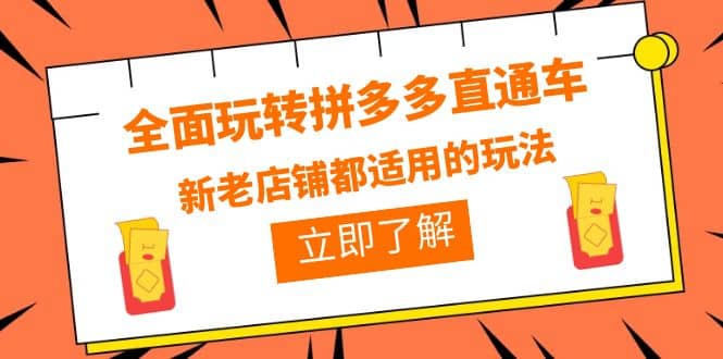 全面玩转拼多多直通车，新老店铺都适用的玩法（12节精华课）插图