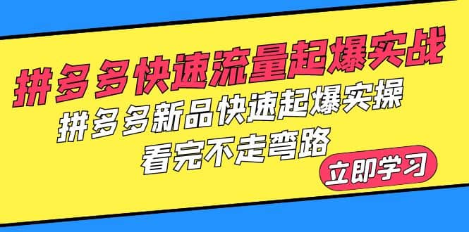 拼多多-快速流量起爆实战，拼多多新品快速起爆实操，看完不走弯路插图