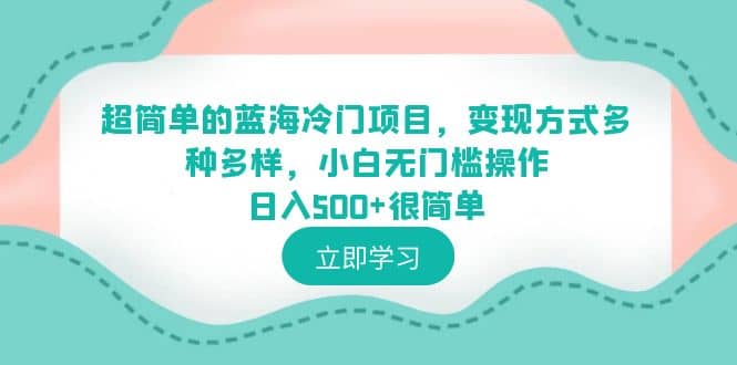 超简单的蓝海冷门项目，变现方式多种多样，小白无门槛操作日入500 很简单插图