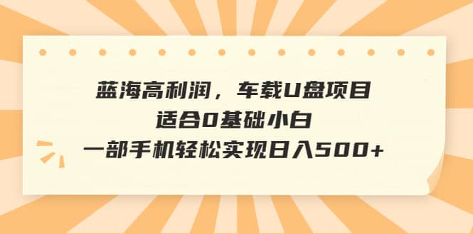 蓝海高利润，车载U盘项目，适合0基础小白，一部手机轻松实现日入500插图