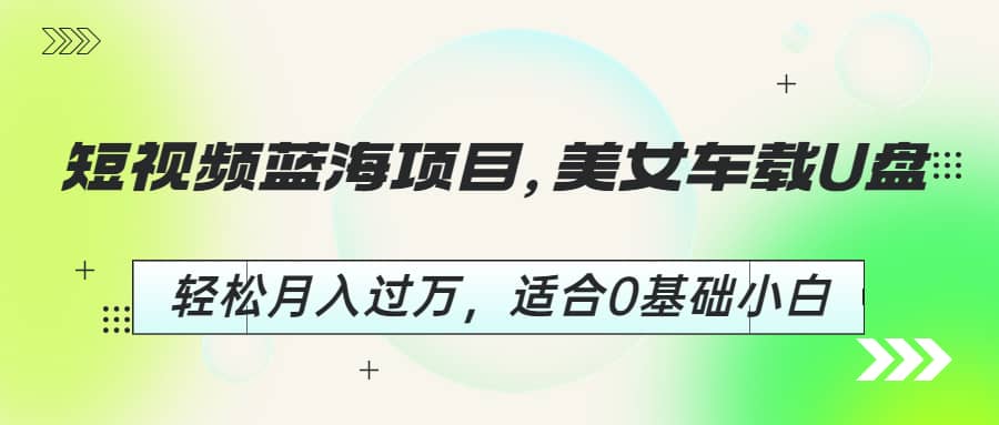 短视频蓝海项目，美女车载U盘，轻松月入过万，适合0基础小白插图