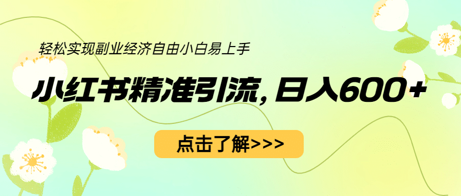 小红书精准引流，小白日入600 ，轻松实现副业经济自由（教程 1153G资源）插图