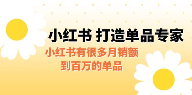 某公众号付费文章《小红书 打造单品专家》小红书有很多月销额到百万的单品插图