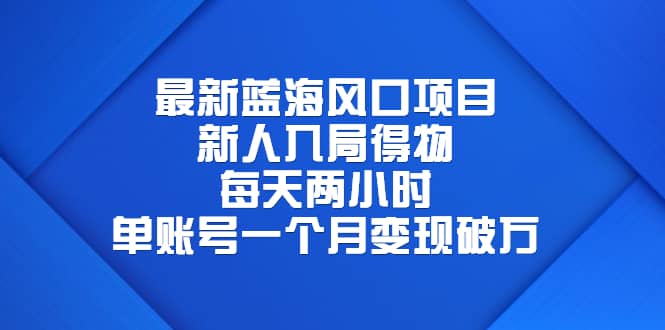 最新蓝海风口项目，新人入局得物，每天两小时，单账号一个月变现破万插图