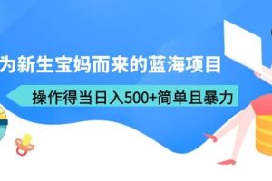 专为新生宝妈而来的蓝海项目，操作得当日入500 简单且暴力（教程 工具）