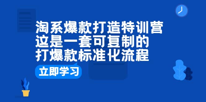 淘系爆款打造特训营：这是一套可复制的打爆款标准化流程插图