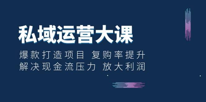 私域运营大课：爆款打造项目 复购率提升 解决现金流压力 放大利润插图