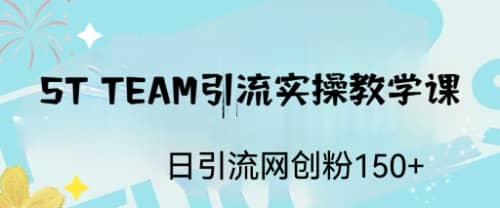 ST TEAM引流实操课，日引流网创粉100插图