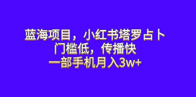 蓝海项目，小红书塔罗占卜，门槛低，传播快，一部手机月入3w插图