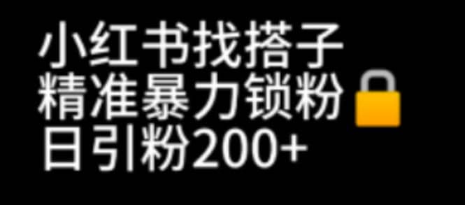 小红书找搭子暴力精准锁粉 引流日引200 精准粉插图