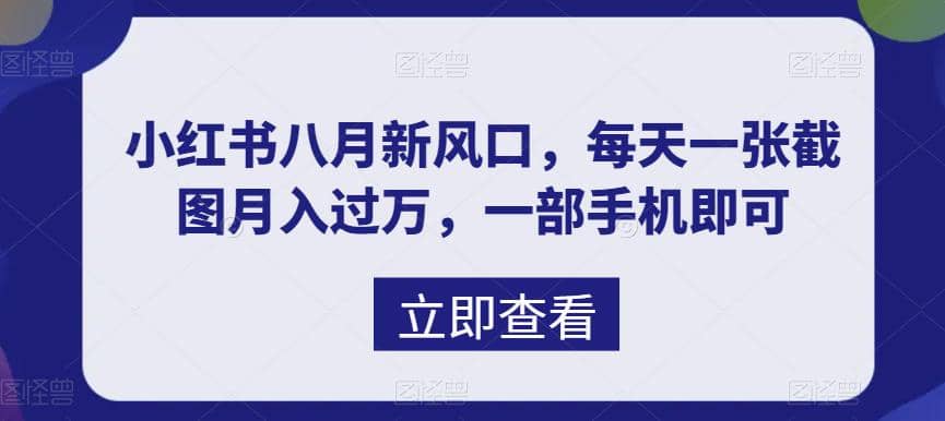 八月新风口，小红书虚拟项目一天收入1000 ，实战揭秘插图