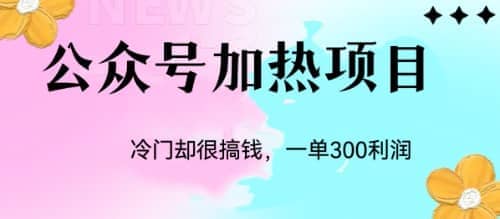 冷门公众号加热项目，一单利润300插图