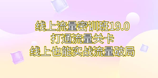 线上流量密训班19.0，打通流量关卡，线上也能实战流量破局插图