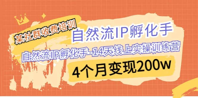 某社群收费培训：自然流IP 孵化手-14天线上实操训练营 4个月变现200w插图