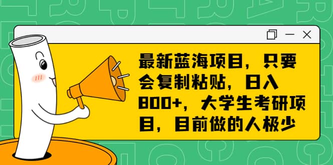 最新蓝海项目，只要会复制粘贴，日入800 ，大学生考研项目，目前做的人极少插图