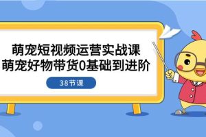 萌宠·短视频运营实战课：萌宠好物带货0基础到进阶（38节课）