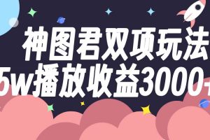 神图君双项玩法5w播放收益3000