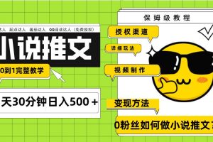 Ai小说推文每天20分钟日入500＋授权渠道 引流变现 从0到1完整教学（7节课）