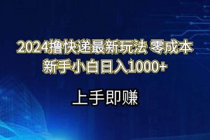 2024撸快递最新玩法零成本新手小白日入1000+