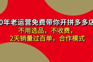 拼多多-合作开店日入4000+两天销量过百单，无学费、老运营教操作、小白…