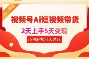 2天上手5天变现视频号Ai短视频带货0粉丝0基础小白轻松月入过万