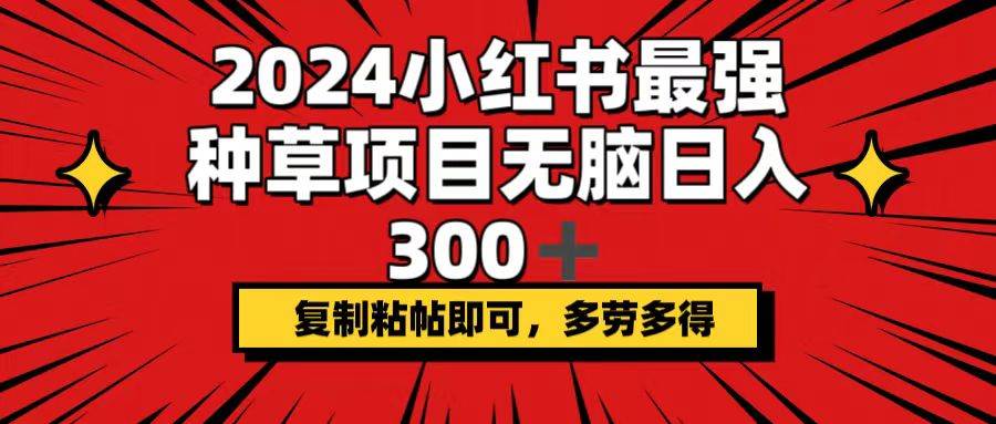 2024小红书最强种草项目，无脑日入300+，复制粘帖即可，多劳多得